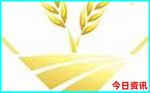 重庆市必去的景点